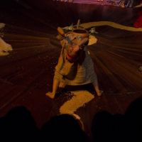 Teatro-del-Sol-104