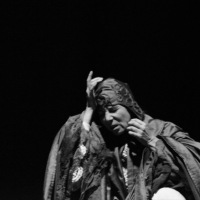 LA-CANCION-DEL-SICOMORO-34
