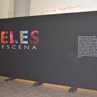 pieles-en-escena-freddy-coello-1