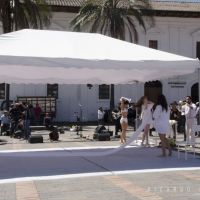 Pura-Sto.-Domingo-1