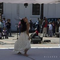 Pura-Sto.-Domingo-108
