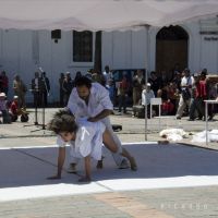 Pura-Sto.-Domingo-202