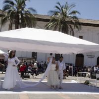 Pura-Sto.-Domingo-31