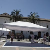 Pura-Sto.-Domingo-6